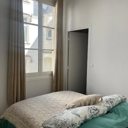 Appartement Tourangeau - Coeur De *